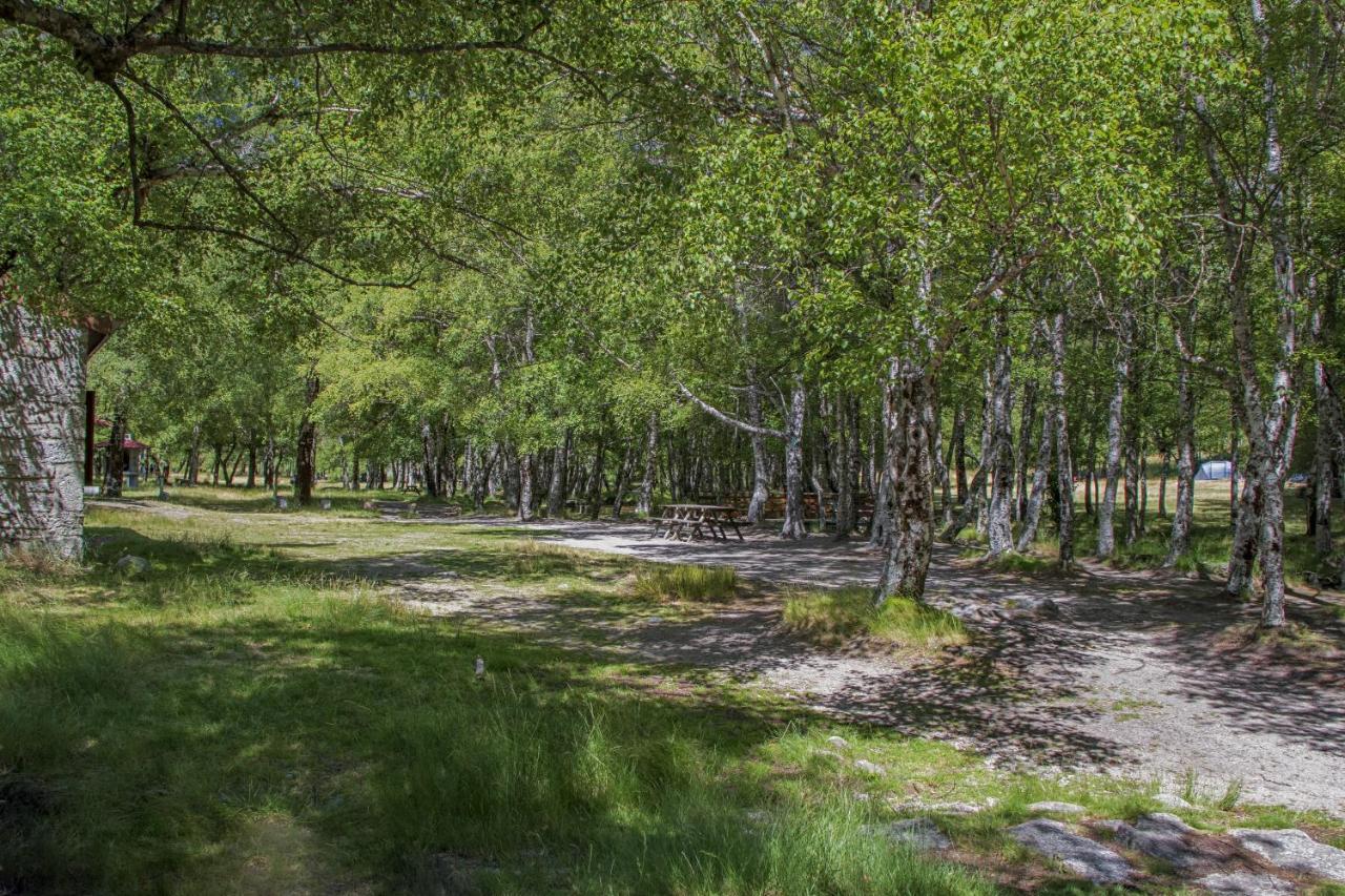 Luna Chalets Da Montanha - Serra Da Estrela Covilha Luaran gambar